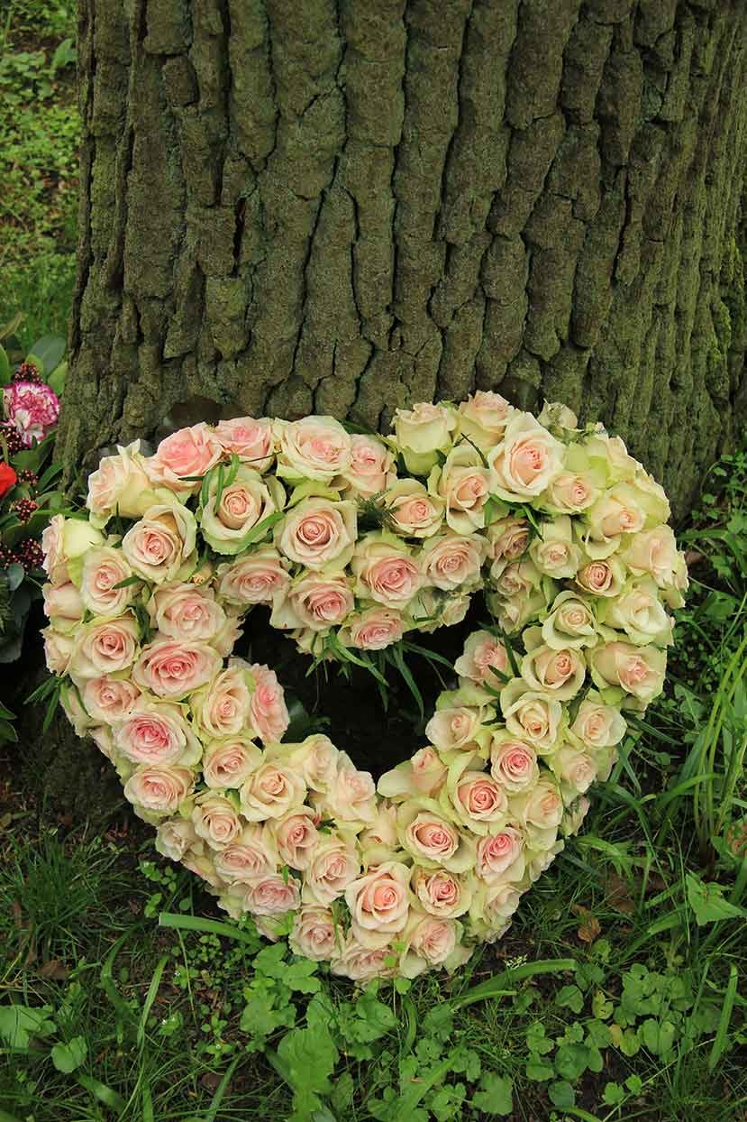 Herz aus Rosen an einem Baum